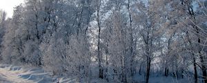 Preview wallpaper hoarfrost, trees, road, roadside, snow, winter