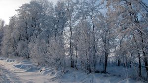 Preview wallpaper hoarfrost, trees, road, roadside, snow, winter