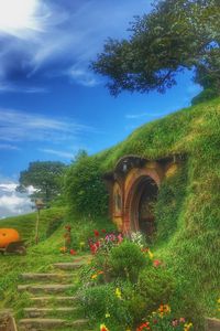 Preview wallpaper hobbiton movie set, forest house, fabulous, new zealand