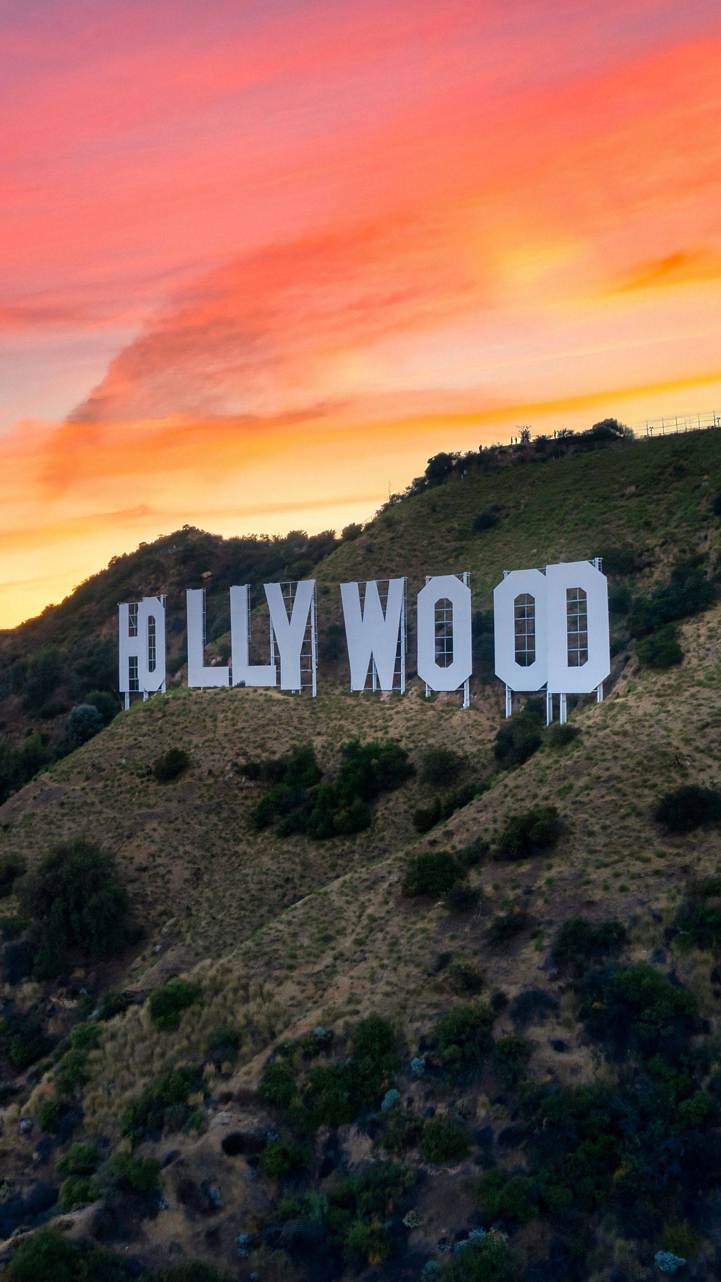 Wallpaper ID 212230  bright white sunset next to the hollywood sign  white sunset next to hollywood sign 4k wallpaper free download