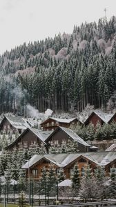 Preview wallpaper homes, forest, slope, snow, winter, nature