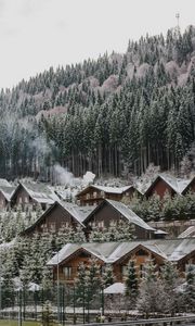 Preview wallpaper homes, forest, slope, snow, winter, nature