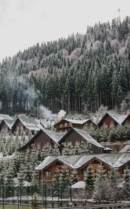 Preview wallpaper homes, forest, slope, snow, winter, nature