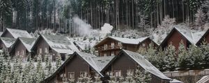 Preview wallpaper homes, forest, slope, snow, winter, nature