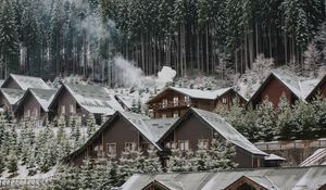 Preview wallpaper homes, forest, slope, snow, winter, nature