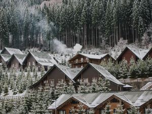 Preview wallpaper homes, forest, slope, snow, winter, nature