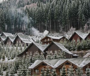 Preview wallpaper homes, forest, slope, snow, winter, nature