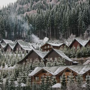 Preview wallpaper homes, forest, slope, snow, winter, nature