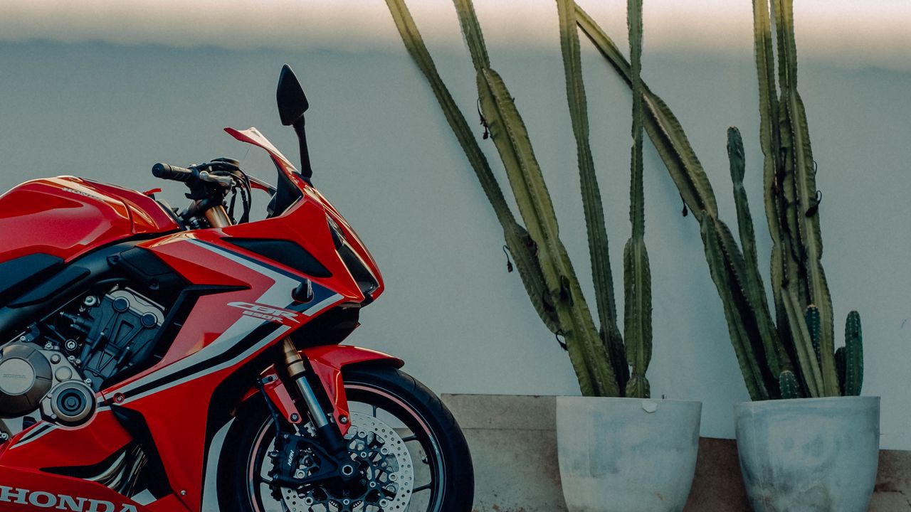 Wallpaper honda, motorcycle, bike, side view, red