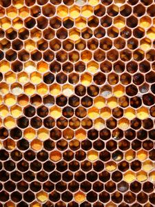 Preview wallpaper honeycombs, may honey, honey
