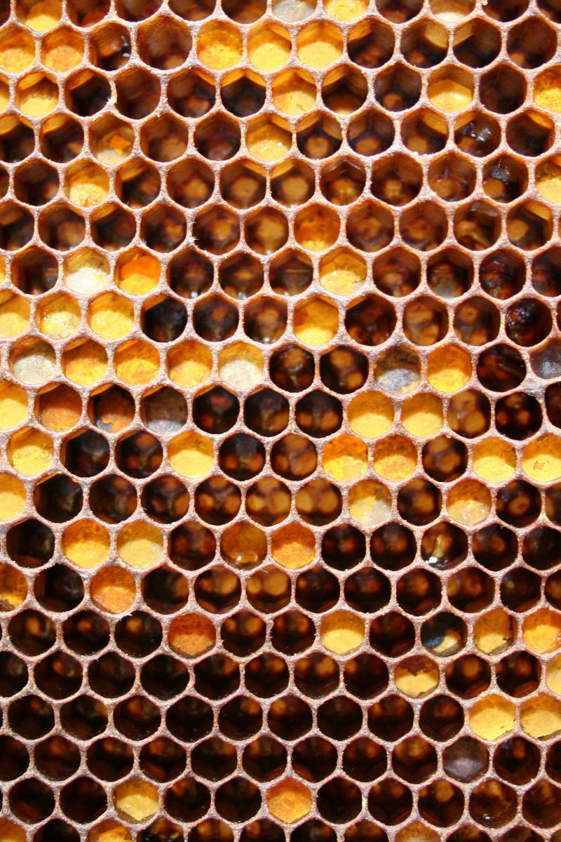 Dark Honeycomb Peel and Stick Wallpaper Self Adhesive Black - Etsy