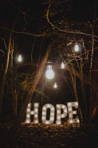 Preview wallpaper hope, words, lamp, forest