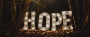 Preview wallpaper hope, words, lamp, forest