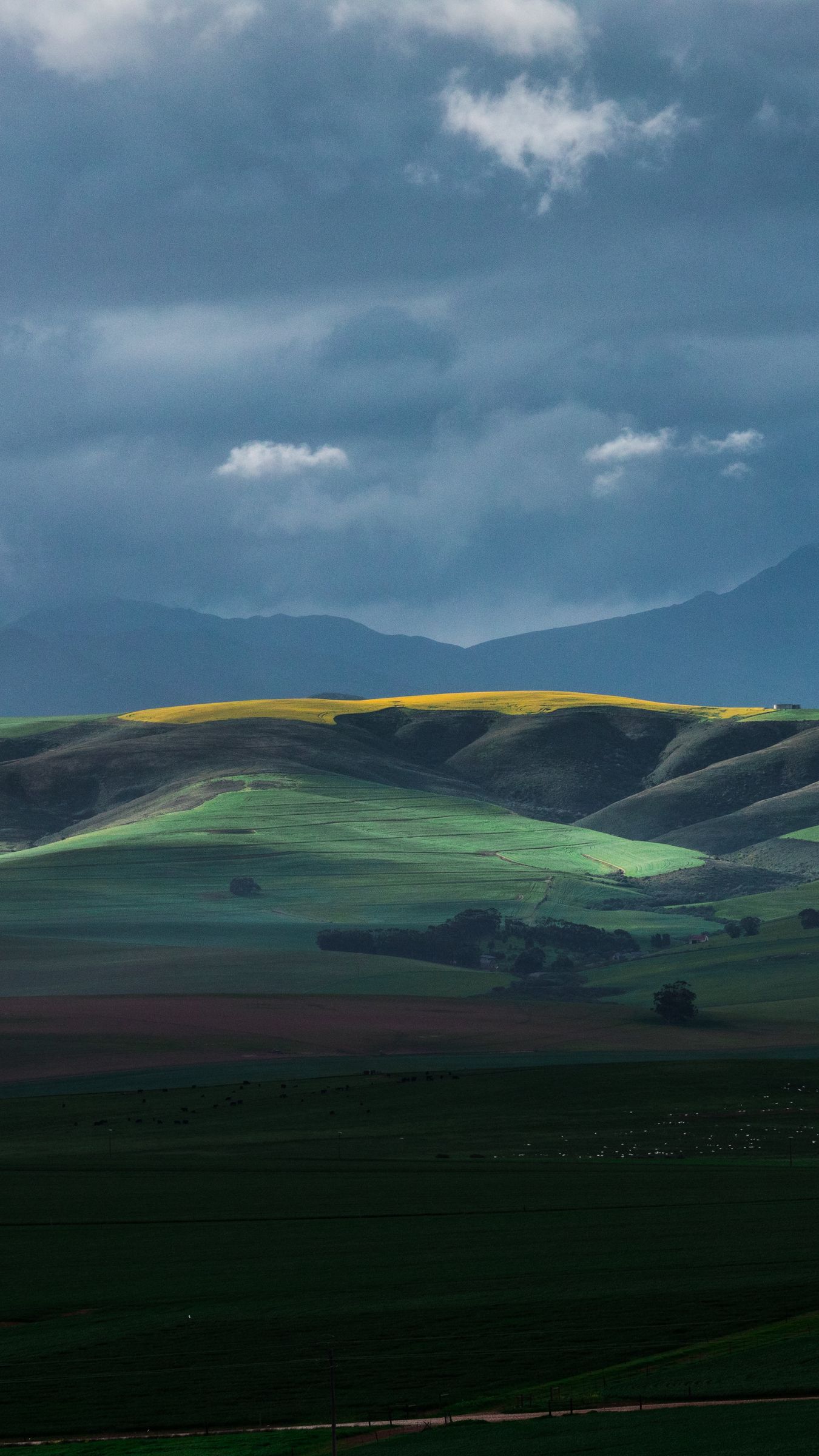 1350x2400 Wallpaper horizon, field, hills, sky, clouds