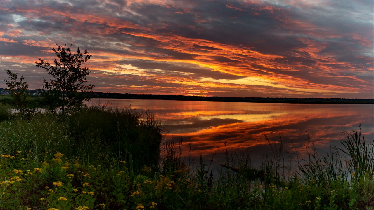 Wallpaper horizon, sunset, bushes, water