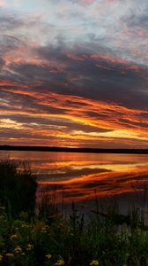 Preview wallpaper horizon, sunset, bushes, water