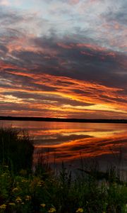 Preview wallpaper horizon, sunset, bushes, water