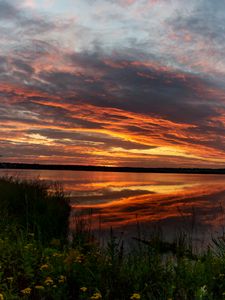 Preview wallpaper horizon, sunset, bushes, water