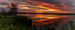 Preview wallpaper horizon, sunset, bushes, water