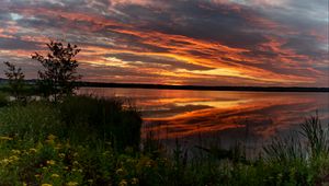 Preview wallpaper horizon, sunset, bushes, water