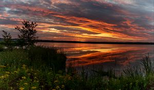 Preview wallpaper horizon, sunset, bushes, water