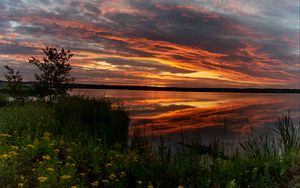 Preview wallpaper horizon, sunset, bushes, water