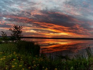 Preview wallpaper horizon, sunset, bushes, water