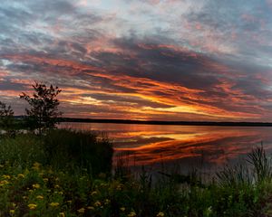 Preview wallpaper horizon, sunset, bushes, water