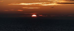 Preview wallpaper horizon, sunset, cloud, cloudy