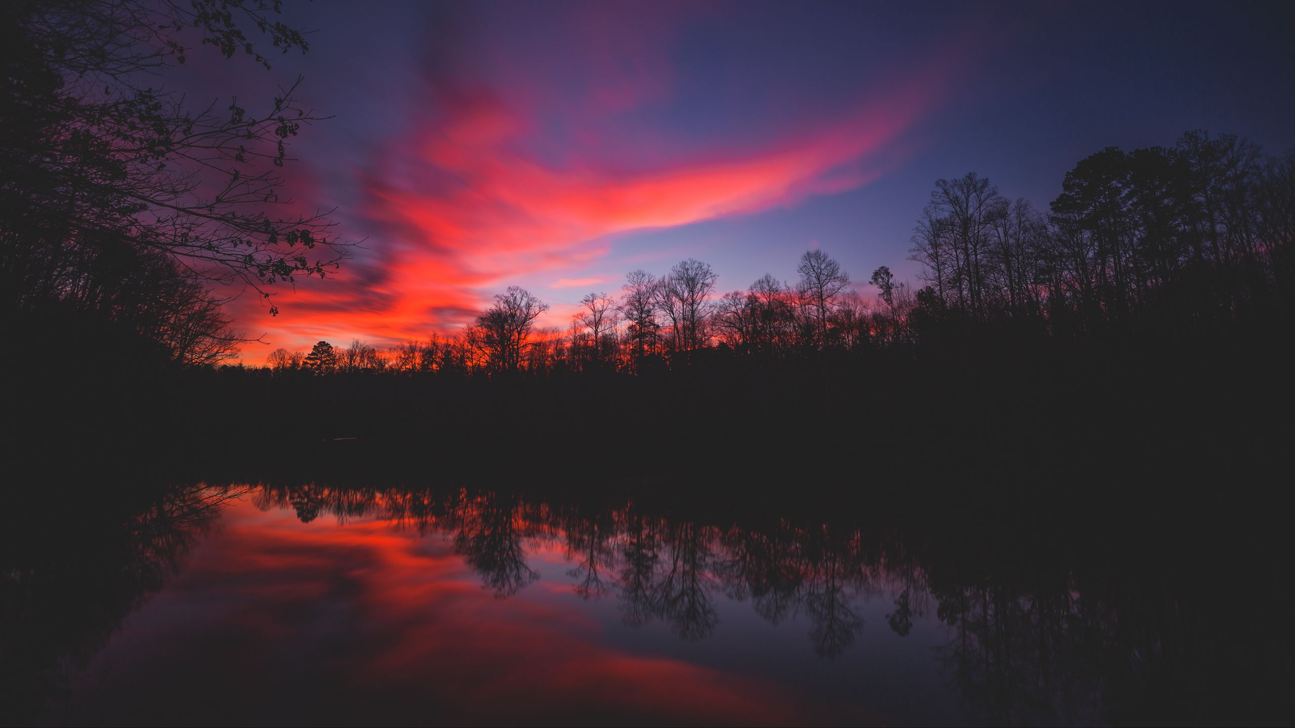 Download wallpaper 2560x1440 horizon, sunset, river, reflection, trees