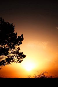 Preview wallpaper horizon, tree, bushes, decline, evening, sun