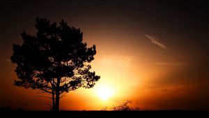 Preview wallpaper horizon, tree, bushes, decline, evening, sun