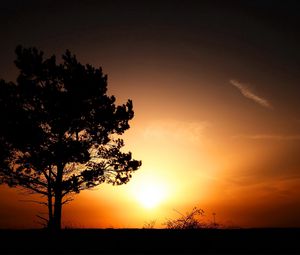 Preview wallpaper horizon, tree, bushes, decline, evening, sun