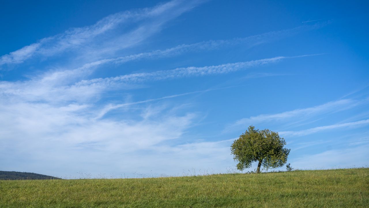 Wallpaper horizon, tree, grass, sky, nature, clouds
