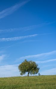 Preview wallpaper horizon, tree, grass, sky, nature, clouds