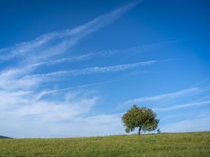 Preview wallpaper horizon, tree, grass, sky, nature, clouds