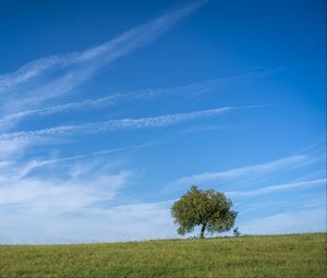 Preview wallpaper horizon, tree, grass, sky, nature, clouds