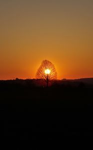 Preview wallpaper horizon, tree, sun, sunset, dark