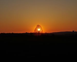 Preview wallpaper horizon, tree, sun, sunset, dark