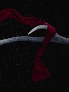 Preview wallpaper horn, scarf, starry sky, dark