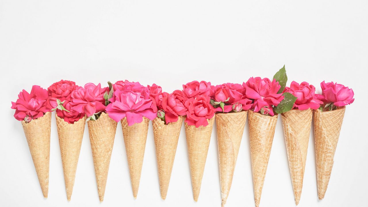 Wallpaper horns, flowers, petals, pink