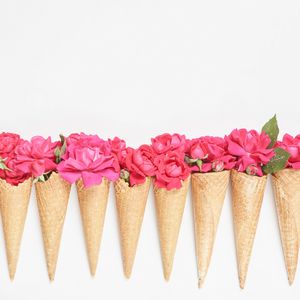 Preview wallpaper horns, flowers, petals, pink