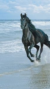 Preview wallpaper horse, beach, running, sand, spray