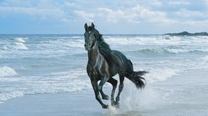 Preview wallpaper horse, beach, running, sand, spray