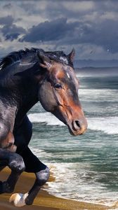 Preview wallpaper horse, beach, sea, wave