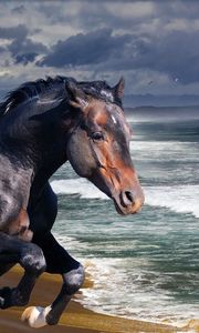 Preview wallpaper horse, beach, sea, wave