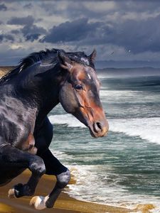 Preview wallpaper horse, beach, sea, wave