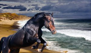 Preview wallpaper horse, beach, sea, wave