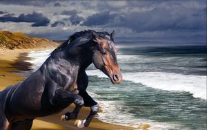 Preview wallpaper horse, beach, sea, wave