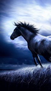 Preview wallpaper horse, blue, field